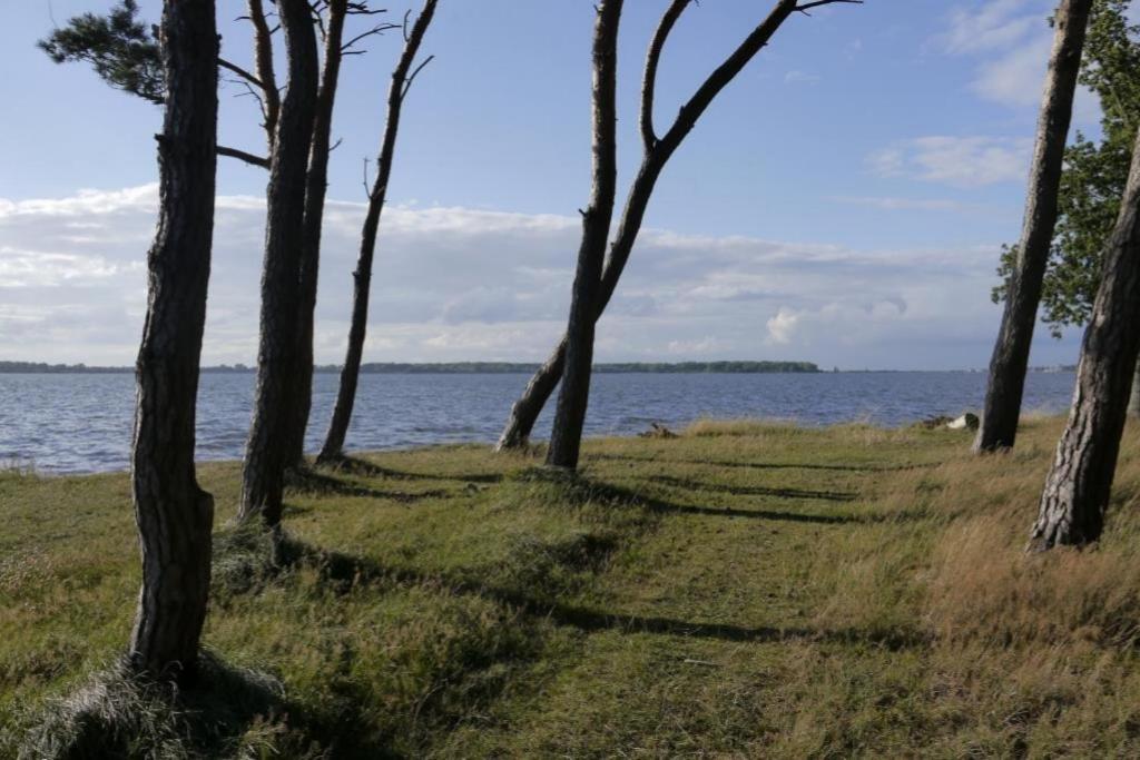 Fewo 08 Seemoewe Mit Blick Auf Salzhaff Und Ostsee Rerik Eksteriør billede